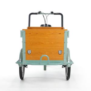 Cadre de vélo électrique pour <span class=keywords><strong>Transport</strong></span>, bicyclette à assistance électrique, couleurs personnalisées, pour pays-bas, 1 pièce - Product Image 3