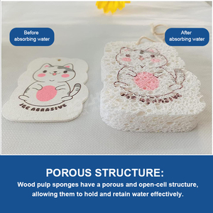 Tùy chỉnh OEM/ODM phân hủy sinh học sinh thái thân thiện với miếng bọt biển compostable <span class=keywords><strong>cellulose</strong></span> Bột Gỗ Nhà Bếp Scrubber miếng bọt biển - Product Image 6