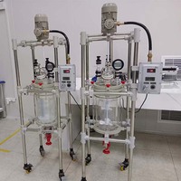 Réacteur en verre 1L 2L 5L 10L 20L 50L avec unité de reflux et condenseur, agitateur en PTFE, condenseur en verre sous vide