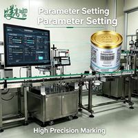Machine de codage laser traceable avec caméra CCD pour vérifier la qualité du code QR Chestny ZNAK