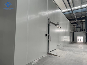 Conteneur frigorifique 20 pieds, <span class=keywords><strong>chambre</strong></span> <span class=keywords><strong>froide</strong></span>, <span class=keywords><strong>chambre</strong></span> <span class=keywords><strong>froide</strong></span>/congélateur avec unité de condensation frigorifique - Product Image 5