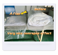 Machine de compression et de scellage industrielle pour oreillers, compatible avec les lignes de remplissage d'oreillers, machine de compression et d'emballage sous vide pour couettes, couvertures et jouets en peluche