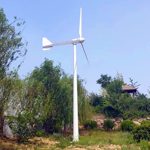 Precio de Aerogeneradores Pequeños de 1Kw con Certificación CE - Product Image 4
