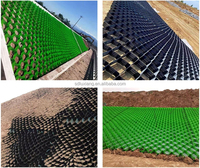 Stabilisateur de gravier en géocell HDPE, option robuste pour la stabilisation des routes industrielles