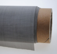 4x8ft 10x10mm 100x100 18 10 Philippines 80 Micron Tissu moustiquaire en acier inoxydable pour fenêtre