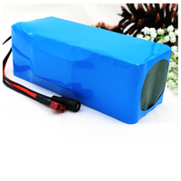 Paket Baterai Lithium Ion DTP18650 OEM ODM Custom Dengan BMS, 24V/48V 7S/10S 10Ah/12Ah Berbagai Konfigurasi S&P untuk Sepeda Motor Roda Tiga