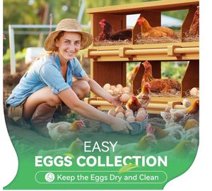 กล่องทำรังไก่6ช่องกล่องไม้สำหรับใส่ไข่เป็ดไก่ - Product Image 4