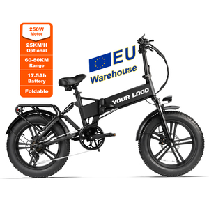 EB3 电动城市自行车 250W 48V 15Ah 7速变速 20英寸宽胎 折叠铝合金车架 锂电池 欧盟仓 - Product Image 1