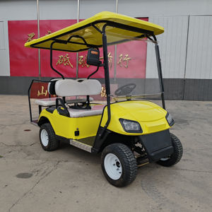 Voiture de golf électrique à batterie approuvée, fabriquée en Chine, 2/4 places, 3-4 places, avec moteur AC de 3 kW et une autonomie de 90 km - Product Image 1