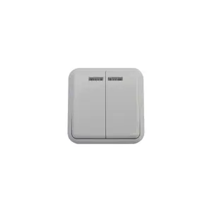 Europe Style Surface Mounted Wall Switch two Gang one way Switch with illumination