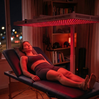 Panneau de luminothérapie rouge professionnel de qualité médicale avec prise US pour soulager la douleur sur tout le corps et la physiothérapie