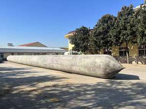 बड़ी ले जाने की क्षमता inflatable उठाने/ccccs प्रमाणपत्र के साथ गुब्बारा लॉन्च करना - Product Image 5