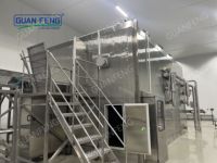 Congélateur à fluidisation IQF de 1000 kg par heure, équipement de surgélation rapide des myrtilles, machine de surgélation rapide des frites