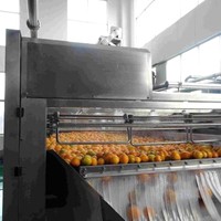 Hoge Kwaliteit Hoge Efficiëntie Wassen Roller Borstel Fruit Groente Machine