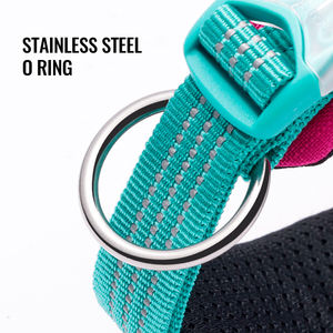Truelove Großhandel Reflective Durable Nylon Hunde halsband Patch Luxus Haustier Zubehör Hochwertiges LED-Halsband Para Gato verstellbar - Product Image 5