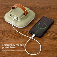 Lampe suspendue LED d'extérieur pour camping, vente en gros, commande par bouton, rechargeable 5V, étanche IP65, avec fonction batterie externe