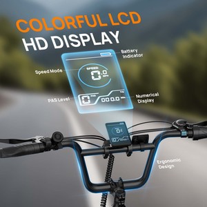 EU Stock 250W Electric City Bike Strong Carbon Steel <b>Frame</b> 20*3.0'' Fat Tire Electric <b>Bicycle</b> - Product Image 5
