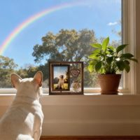 Cadre photo de Noël rotatif en bois écologique pour animaux de compagnie - Grand cadeau souvenir pour chiens et chats