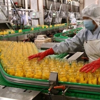 Tropisch Vers Fruit Productielijn/Ingeblikte Gele Perzikmachine/Verwerkingslijn