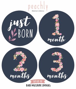 Usine Fournir Directement Floral Bébé Mensuel Jalon Autocollants (<span class=keywords><strong>Lot</strong></span> de 20) -de la <span class=keywords><strong>naissance</strong></span> à 12 Mois - Product Image 4