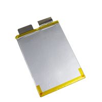 Baterai Lithium-Ion LiFePO4 Soft-Pack 32V 50A untuk Kendaraan Listrik