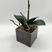Orchidée Phalaenopsis Artificielle Effet Naturel en Pot – Composition Florale Décorative pour Maison, Bureau et Jardin