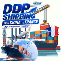 Transitaire maritime de fret en vrac de Shenzhen, Chine vers la France