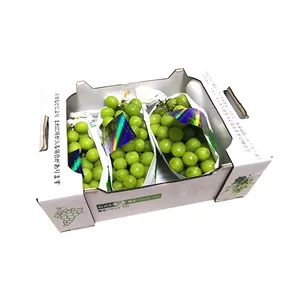 Emballage à impression personnalisée de fruits et légumes et fruits de mer, boîtes pliables en carton cirées et durs, pour expédition