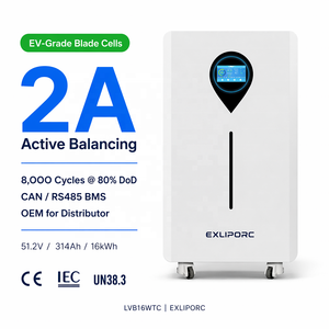 แบตเตอรี่โซลาร์ LiFePO4 16kWh 51.2V 314Ah เกรด EV แบบ Blade Cells 8000 รอบการใช้งาน พร้อมระบบ Active Balancing 2A CAN BMS สำหรับผู้จัดจำหน่าย (OEM) - Product Image 1