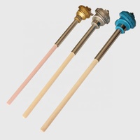 High Temperature 1600C Ceramic Probe Thermocouple Type S B R Type Platinum Rhodium Thermocouple for Furnace Use