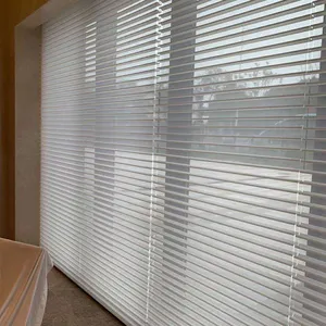 Custom Cut to Size Double Layered Fabric Zebra Sheer Shade Horizontal Window Blinds & Treatments