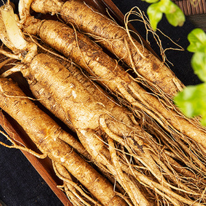 Doğal Yabani Ginseng Tozu Botanik Hammadde - Product Image 3