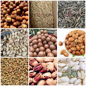 Séchoir à air chaud pour noix de cajou, noisettes, pecans, arachides – Machine de séchage alimentaire - Product Image 6