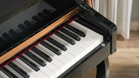 Digitalpiano mit 88 gewichteten Tasten, Hammermechanik, Kunststoffgehäuse, 200 Rhythmen & Klängen, integriertem Lautsprecher für Erwachsene
