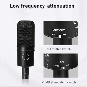 Micrófono Profesional de Diafragma Grande AT4040 2026 con Filtro de Corte Bajo y Interruptor PAD - Ideal para <span class=keywords><strong>Podcast</strong></span> y Grabación - Product Image 4