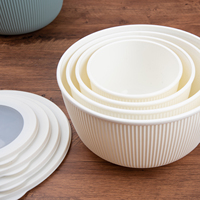 Lot de 4 bols à salade en plastique ronds de couleur blanche pour le stockage des aliments, camping