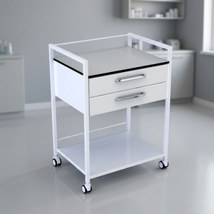 รถเข็นอุปกรณ์แบบสองลิ้นชัก CLEBER รุ่น PISA 40015 เฟอร์นิเจอร์โรงพยาบาล รับประกัน 1 ปี รับน้ำหนักได้ 200 ปอนด์ พร้อมบริการช่วยเหลือทางเทคนิคออนไลน์ - Product Image 2