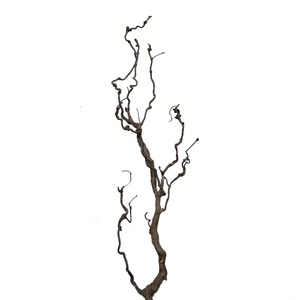 Arbres artificiels en bois de <span class=keywords><strong>jujube</strong></span> rétro, branches de fleurs séchées pour Noël et Pâques, plante artificielle de style rétro unique - Product Image 1