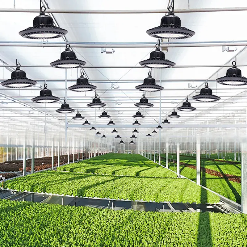 테이블 growLights 주도 200W 온실 성장 빛 수경 재배 실내 식물 성장 빛 200W 성장 시스템 램프