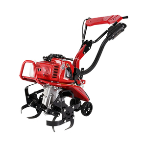 Mini <span class=keywords><strong>motoculteur</strong></span> à essence livré avec des accessoires essentiels : lames de cultivateur, roues en <span class=keywords><strong>fer</strong></span>, pneus pneumatiques et un charrue à disques - Product Image 1