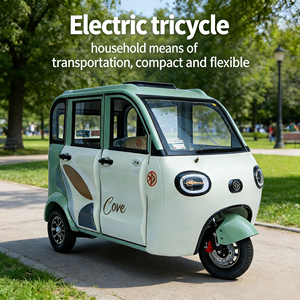 Voiture électrique à trois roues fermée pour adultes, véhicule à faible vitesse pour les trajets domicile-travail et les déplacements domestiques - Product Image 3