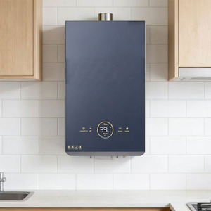 Chauffe-eau à <span class=keywords><strong>gaz</strong></span> à température constante en acier inoxydable et cuivre, <span class=keywords><strong>prix</strong></span> de gros, pour salle de bain, cuisine, lavage, usage domestique extérieur - Product Image 6