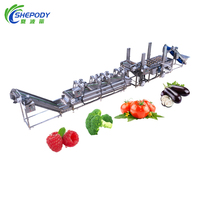 Volautomatische Industriële Schone Wortelgroene Wasverwerkingslijn/Bevroren Fruitgroente Productielijn