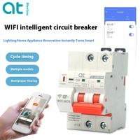 Tuya WIFI sans fil Mini disjoncteur intelligent télécommande Mobile interrupteur d'air surtension/sous-tension Protection minuterie interrupteur