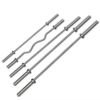 Barre d'haltères à poignée chargeable Standard d'accessoires de fitness professionnels de bonne qualité