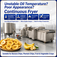 Ligne de production de frites et chips de plantain à cuisson continue, friteuse commerciale à chauffage au gaz, ligne de transformation d'aliments de type snack