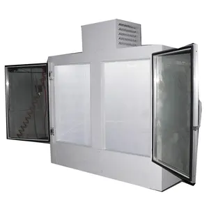 Monoblock Unit Design Ice Merchandiser 2 Glass Doors Ice Freezer Ice Block Blast Freezer