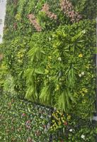 Haie de buis artificielle sur mesure, mur végétal synthétique, décoration en herbe artificielle pour l'intérieur et l'extérieur, 1x1m