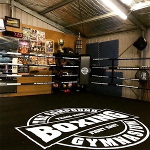 Buena calidad MMA piso Ring de boxeo y etapa profesional elevado tipo de boxeo