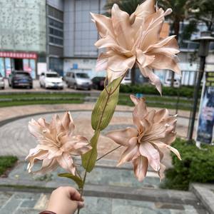 Fleurs artificielles en soie couleur café automnal, rétro, <span class=keywords><strong>mousse</strong></span> moka, pour arrangements floraux de mariage, types de fleurs mélangés, vente en gros - Product Image 4